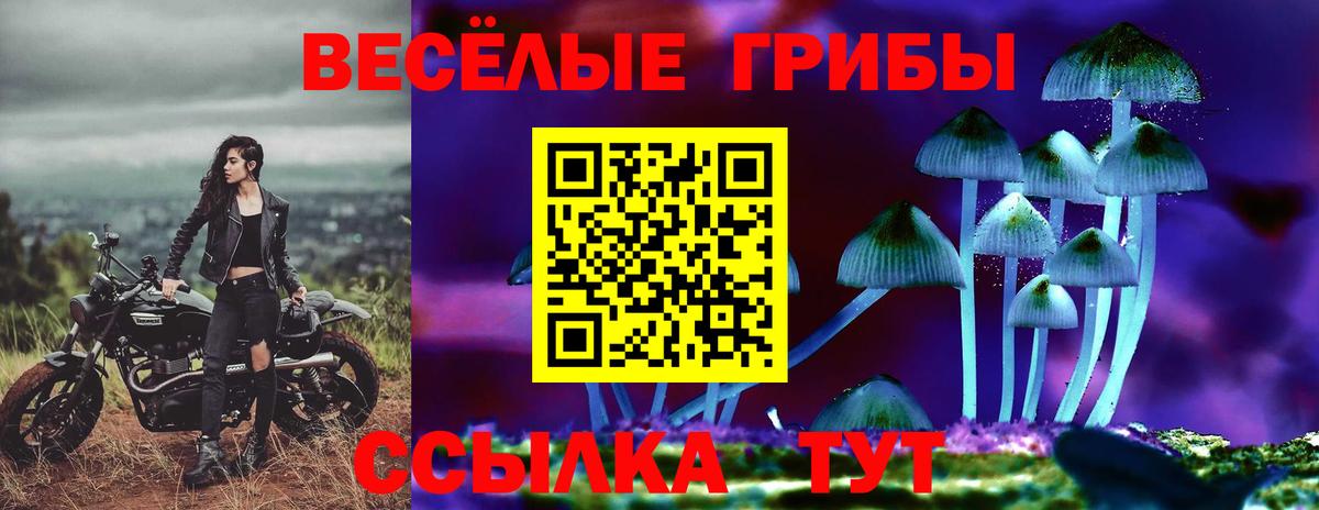 Галлюциногенные грибы Cubensis  Вход с VPN  Тверь 